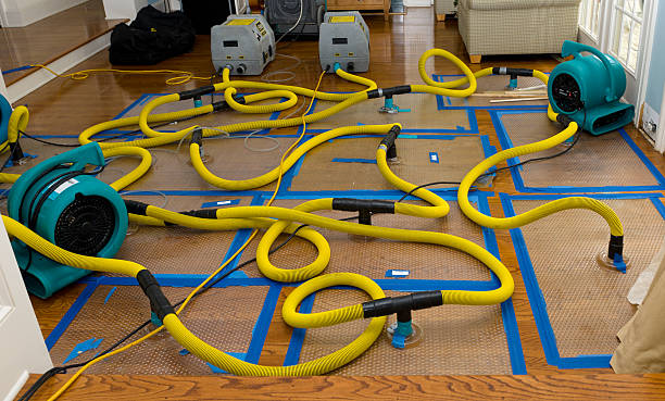 Professional Basement Flood Cleanup technician working in Skippack, PA